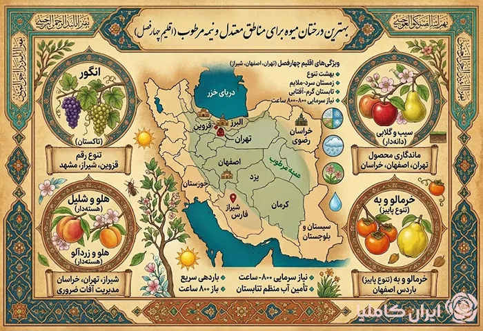 بهترین درخت میوه برای مناطق سردسیر و گرمسیر